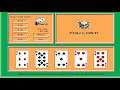 Double Down Video Poker (DOS)