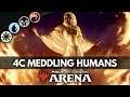 MEDDLING HUMANS TRIBAL | Historic MTG Deck Guide [Magic Arena]