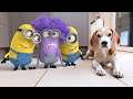 💜🍌Minions Pranking Funny Dogs Compilation  💜🍌