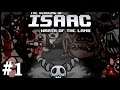 The binding of Isaac: wrath of the lamb - DIRECTO 1