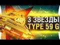 ОТМЕТКИ НА СТВОЛ Type 59 GOLD #3