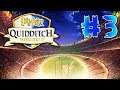 #3 Harry Potter: Quidditch World Cup. Англия vs Франция, США