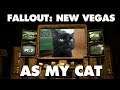 Completing Fallout: New Vegas ...As My Cat - Part 7