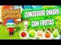 Conseguir más dinero con frutas | Animal Crossing New Horizons | MrLokazo86