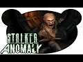 Im Agroprom Untergrund - Stalker Anomaly ☢️ #32 (Gameplay Deutsch)