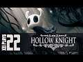 Let's Play Hollow Knight (Blind) EP22