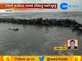 Navsari Water Enters Village, Villagers Distressed