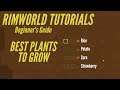 Rimworld Food Guide | How to Grow Plants | Rimworld Tutorial Tips and Tricks