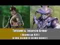 Tatsumi & Incursio Armor from Akame ga Kill in Soul Calibur VI VIEWER REQUEST