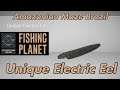 Unique Electric Eel - Amazonian Maze Brazil - Fishing Planet Guide