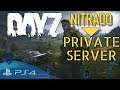 🔴DAYZ PS4 / Xbox One Eigenen Server Mieten bei Nitrado mit Version 1.04  🎮 News
