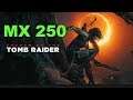 Shadow Of The Tomb Raider Gaming MX 250 Benchmark