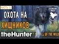 theHunter Call of the Wild #11 🐺 - Хищник Стал Жертвой! - Долина Юкона, Аляска