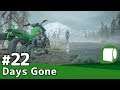 実況#22【Days Gone（PS4PRO版）】世界の崩壊から2年。生きる理由を探して…