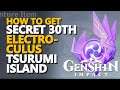 30 Tsurumi Island Electroculus Genshin Impact