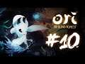 COSITAS VARIAS | Ori and The Blind Forest | PARTE 10