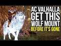 Get This Ghost Wolf Mount Before It's Gone In Assassin's Creed Valhalla (AC Valhalla Wolf Mount)