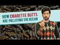 How Cigarette Butts Are Polluting The Ocean