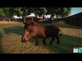 PLANET ZOO #05 WHERE'S MY WARTHOG?! || Let's Play Simulation English Gameplay Sandbox Franchise