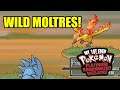 Pokemon Platinum But A WILD MOLTRES Shows Up In Route 2