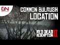 Red Dead Online - Common Bulrush Location - 5 Common Bulrush Picked - Daily Challenge