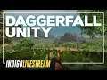Return to DAGGERFALL (Unity, modded) #1 | Party Like it's 1996!
