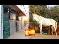 Stichting Tour! Alle stallen en paarden | Los Caballos Luna #03