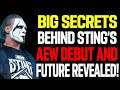 AEW And Impact Are Partners! How AEW Pulled Off Sting's Surprise Debut? Cancelled WWE Plan! WWE News