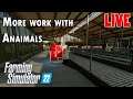 Farming Simulator 22 - More animal work on ElmCreek