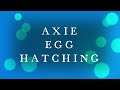 First Axie Infinity Egg Hatching l Morph to Adult I Axie Infinity - Blockchain NFT game