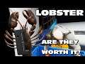 Fishing: North Atlantic - Are lobster worth catching?