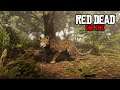 Обновление Red Dead Online: Роль Натуралиста