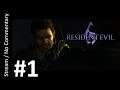 Resident Evil 6 - CHRIS Veteran (Part 1) playthrough stream