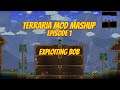 Terraria Mod Mashup on Expert Mode | Episode 1 | w/ HiberFrost
