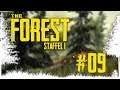 The Forest [HD+] Let's Play Together #09 - Staffel 1 - [60 FPS] - German