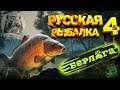 Когда супер клёв мелкой рыбы))) !!)Русская рыбалка 4