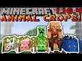 ANIMAL CROPS MOD 1.16.5 !!! (Grow Your Own Animals) | Minecraft Mod Review