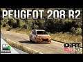 Dirt Rally 2.0 - PEUGEOT 208 R2