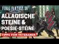 FFXIV allagische Steine & Poesie Steine / Final Fantasy 14 Allagische & Poesie Steine & Endgame