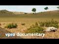 Inner Mongolia and the impact of desertification | VPRO Documentary