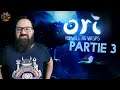 J'aime le mode difficile - Ori and the Will of the Wisps partie 3
