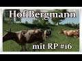 LS 19 - Hof Bergmann mit RP / #16/ Der Kuh-Kauf-Plan