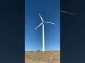 #shorts #shortsbeta wind power generation power plant, wind power generation fan, wind fan, power