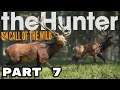 theHunter: Call of the Wild (2017) - Part 7
