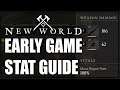 Where To Put Your Stat Points - New World