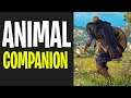 Assassins Creed Valhalla - Animal Companions & Customization!