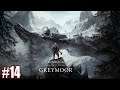 Einbruch mit Hindernissen #14 - Elder Scrolls Online (Gameplay,Deutsch,PC)