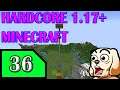Hardcore Minecraft 1.17+ Vanilla Run 2 Part 36 - Terahdra Let's Play Twitch VOD