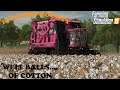 Hazzard County Ep 60     Cotton pickin' time     Farm Sim 19