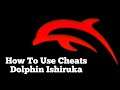 How To Use Cheats On Dolphin Ishiruka V16